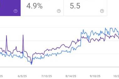 Portfolio preview