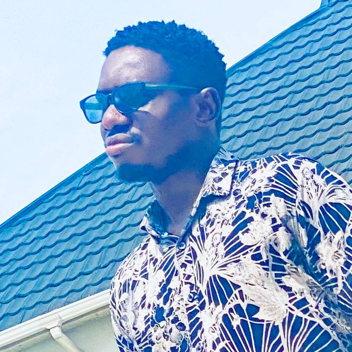 Martins Abimbola Awonusi