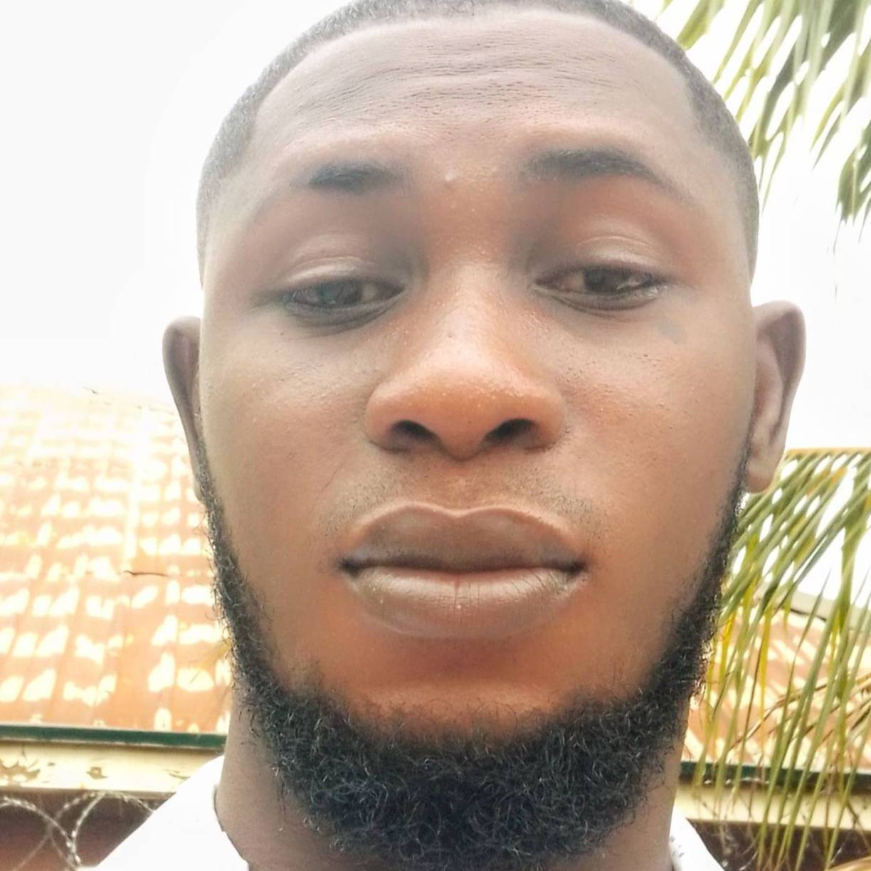 Ayodeji Fagbemi