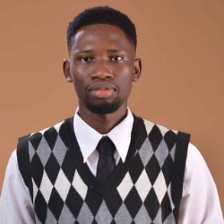 STEPHEN OYOMIRE